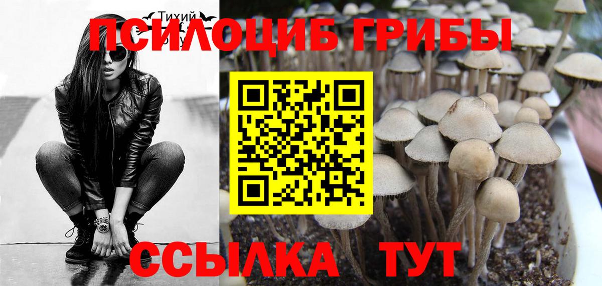 Еманжелинск  Галлюциногенные грибы Cubensis  Галлюциногенные грибы ЛСД  Вход с VPN 